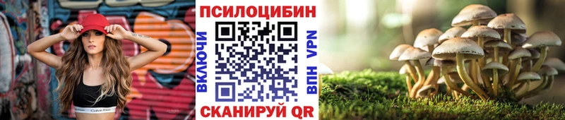 где купить наркотик  Гай  Галлюциногенные грибы MAGIC MUSHROOMS 