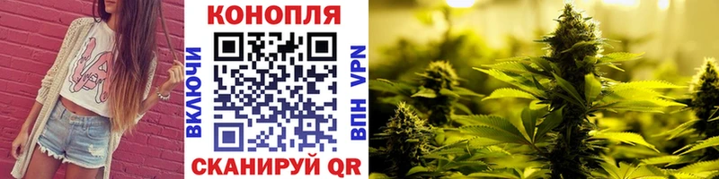 мориарти формула  как найти наркотики  Гай  Каннабис сатива 